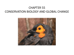 CHAPTER 55 CONSERVATION BIOLOGY AND GLOBAL CHANGE