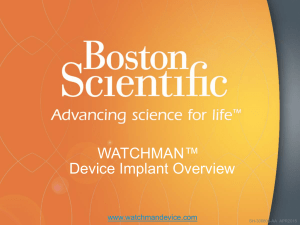 WATCHMAN™ Access Sheath