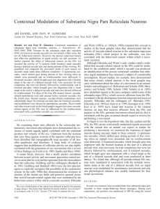 Contextual Modulation of Substantia Nigra Pars Reticulata Neurons