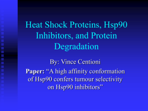 Testing the Effect of Changing Heat Shock Protein 90:
