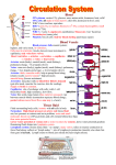 Blood Blood Vessels Tissue fluid