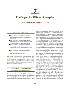 the superior Olivary complex