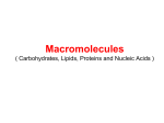 Macromolecules ( Carbohydrates, Lipids, Proteins and Nucleic Acids )