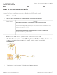 AP Biology Reading Guide Chapter 48 Neurons synapses and