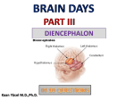 Brain days-Part III