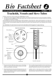 Tracheids, Vessels and Sieve Tubes