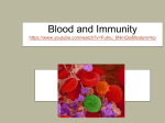 Blood and Immunity - Calgary Christian School