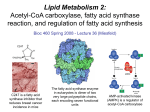 Lecture 36 - Lipid Metabolism 2