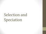 Selection_and_Speciation