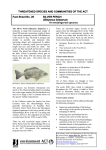 Silver Perch (Bidyanus bidyanus) fact sheet