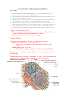 Neuroscience 9b – Vestibular Apparatus and Pathways