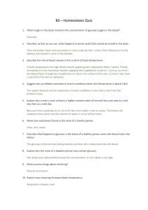 Homeostasis Answers