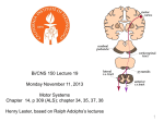 Motor Systems – I