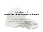 B2B 2017 Environmental Occupational Health J