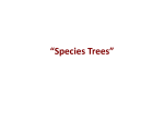 Species Trees
