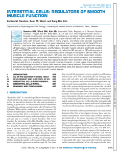 interstitial cells: regulators of smooth muscle function