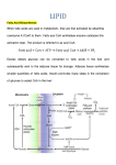 lipid