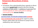 Ketogenesis (Biosynthesis of ketone bodies)