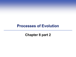 Processes of Evolution Chapter 8 part 2