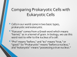 Prokaryotic and Eukaryotic Cell Notes