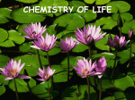 CHEMISTRY OF LIFE
