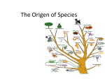 The Origen of Species