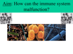 5 - Immune System - malfunctions