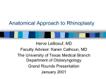 Anatomical approach to rhinoplasty