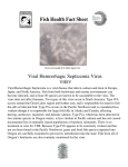Fish Health Fact Sheet - Viral Hemorrhagic Septicemia Virus