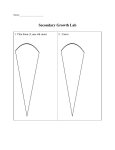 Secondary Growth Lab