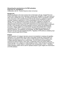 Dissecting the mechanisms of mTOR activation. Supervisor: Dr. Zita