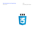 CSS Cascading Style Sheets Web Development and Programming