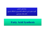 Fatty Acid Synthesis