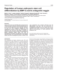 Regulation of human embryonic stem cell differentiation by BMP