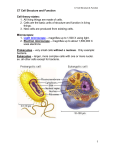 Chapter 7 Cells