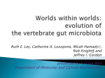 Worlds within worlds: evolution of the vertebrate gut microbiota Ruth