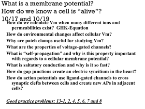 What is a membrane potential?