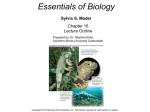 Essentials of Biology Sylvia S. Mader