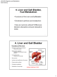4. Liver and Gall Bladder