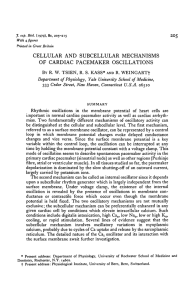 cellular and subcellular mechanisms of cardiac pacemaker oscillations