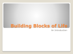 Building Blocks of Life