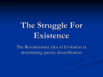 The Struggle For Existence