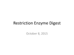2015 teacher-prof dev- restriction enzyme lecture