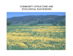 community structure and ecological succession