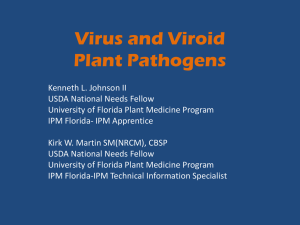 Virus and Viroid Plant Pathogens
