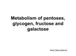 Metabolism of pentoses, glycogen, Fru and Gal