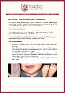 Hand,Foot,Mouth Disease