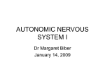 autonomic nervous system i