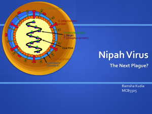 Nipah Virus