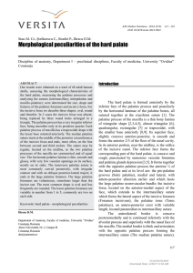 Morphological peculiarities of the hard palate